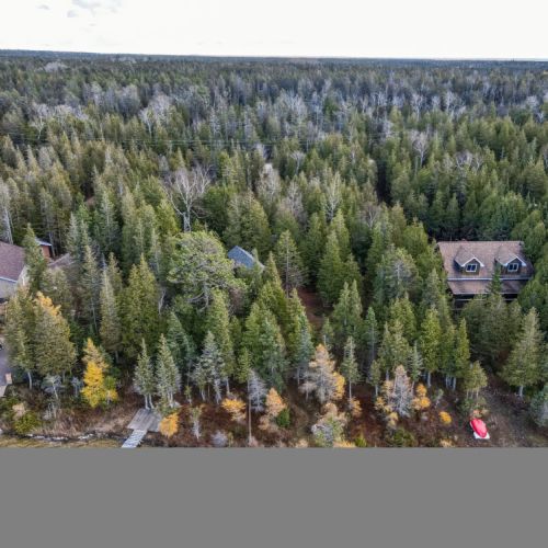 Private and surrounded by trees.
