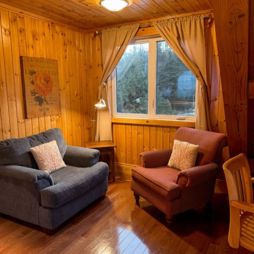 Relax in a bright reading nook with forest views—perfect for quiet mornings, cozy afternoons, and peaceful vacation vibes.