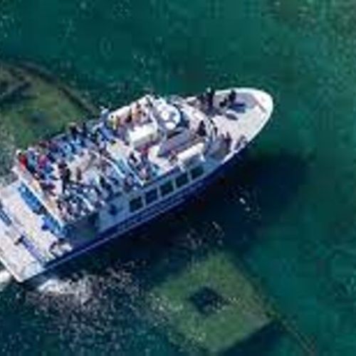 Take a boat tour over the shipwrecks and make your way out to flowerpot island for some hiking!