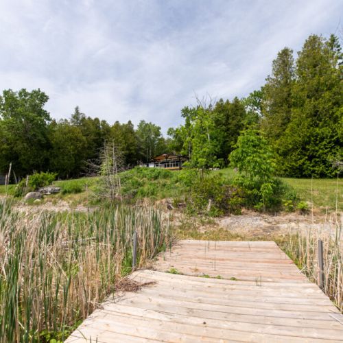 Boardwalk path through the shoreline grasses leading you out to the water.