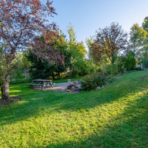 The lush and expansive backyard, offering plenty of space for outdoor activities and relaxation amidst nature's beauty.