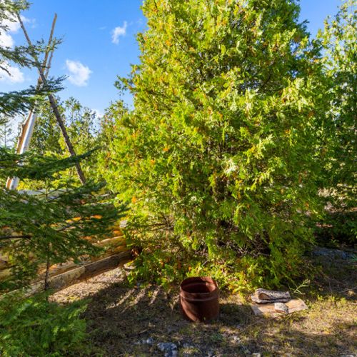 Mature cedar trees surround the cottage, creating a peaceful and private woodland setting.