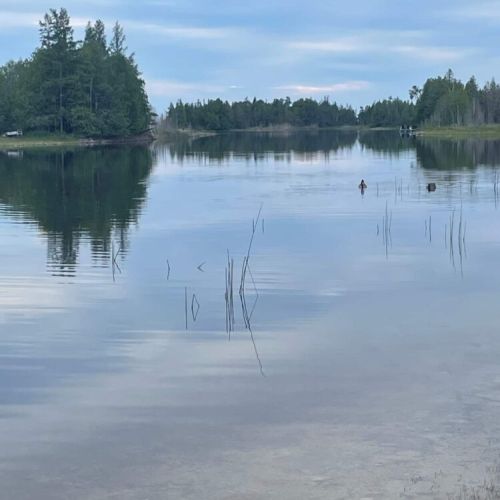 Calm, shallow waters along Dorcas Bay, great for swimming and paddling