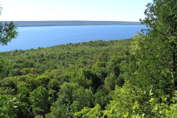 Malcolm Bluff Shores Nature Reserve