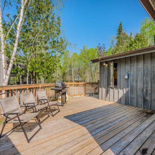 Surrounded by lush greenery and trees, it offers a perfect outdoor space for relaxation and entertaining
