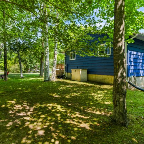 Surrounded by mature trees, the cottage offers a peaceful natural setting.