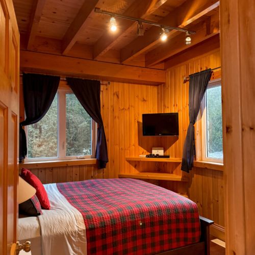 Cozy up in a charming cabin-style bedroom with a comfy bed, TV, and forest views—perfect for relaxing after outdoor adventures and lakeside getaways.