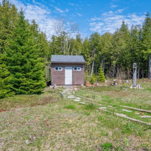 The path leading to the little shed.