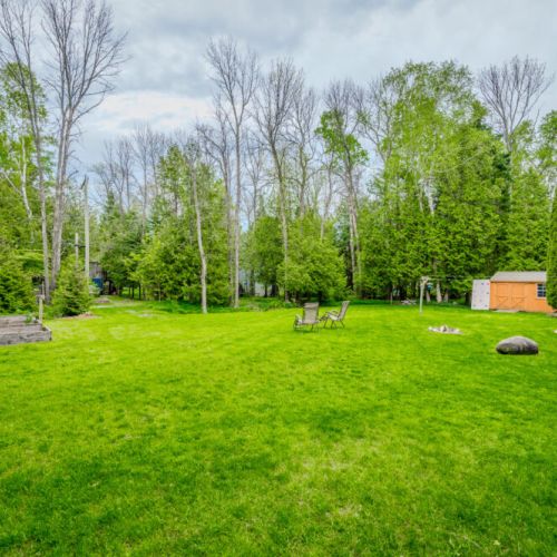 Tranquil backyard surrounded by tall trees and open space—your private escape to peace and privacy.