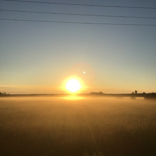 Embrace the golden hours at Starry Haven, where sun-kissed fields blend into quiet evenings under the vast, starry expanse.