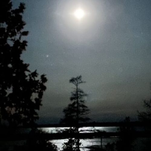 A mystical night sky, the moon bright and illuminating the water, creating a serene and captivating scene at the cottage.