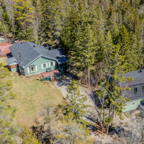 Secluded forest property with main house and private guest cabin—ideal for families, groups, or romantic getaways.