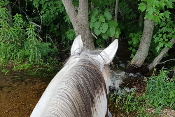 SBPATV club Parking Lot