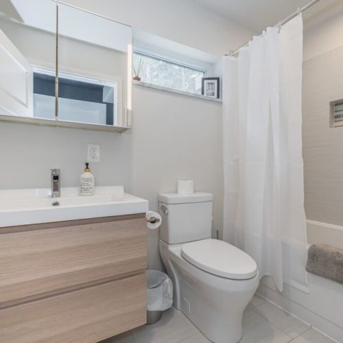 Lower level main bathroom.