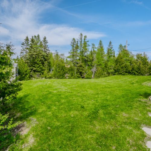 The expansive backyard is surrounded by lush greenery, providing a private and peaceful outdoor space for relaxation and play.