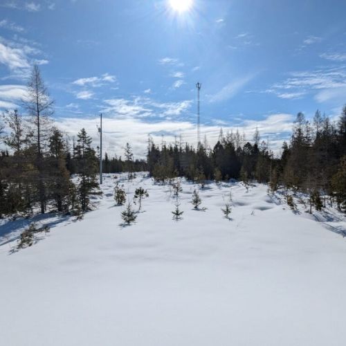 Peaceful and bright—sunshine spills over the snow-covered meadow behind the cottage, perfect for winter walks or play.