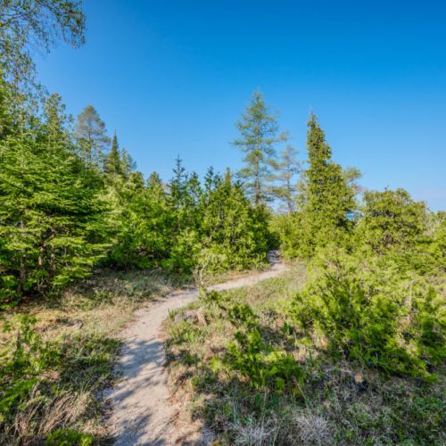 Wander down this picturesque trail that meanders through the greenery, inviting you to explore the natural wonders just steps away from the cottage.