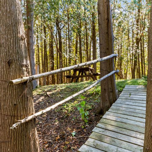 Cross your own private bridge as you explore the property's peaceful walking trails winding through the forest.