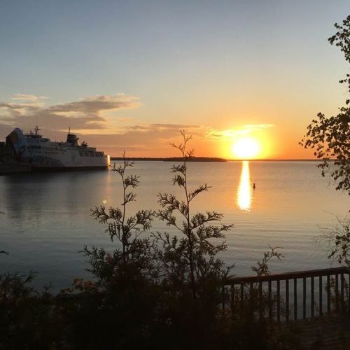Start your day with peace and sunshine. Enjoy a front-row seat to breathtaking sunrises over the bay, with the gentle sound of lapping waves and birds in the trees. Perfect for early risers and photographers alike!