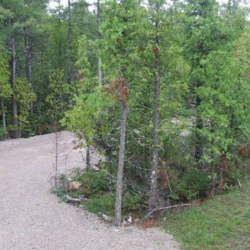 Convenient gravel driveway offers plenty of parking space for your travel group — easy access for your adventure basecamp.