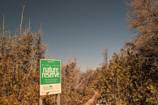 Petrel Point Nature Reserve