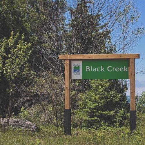 Black Creek Provincial Park and Beach - short 8 mins drive away and is the perfect spot for a beach day! It is quiet, tucked away and not very touristy. Enjoy a day relaxing at the beach! Free parking and access.