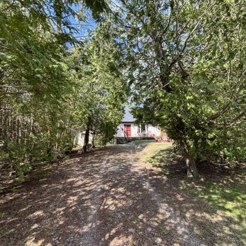 Secluded Cottage Entrance: A shaded path leads to The Louise, offering a private and picturesque approach to this secluded retreat. Surrounded by the dense foliage of mature trees, the pathway promises a serene escape from the outside world.