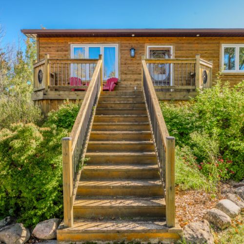 The front stairs leading up to the cozy entrance, framed by lush greenery.