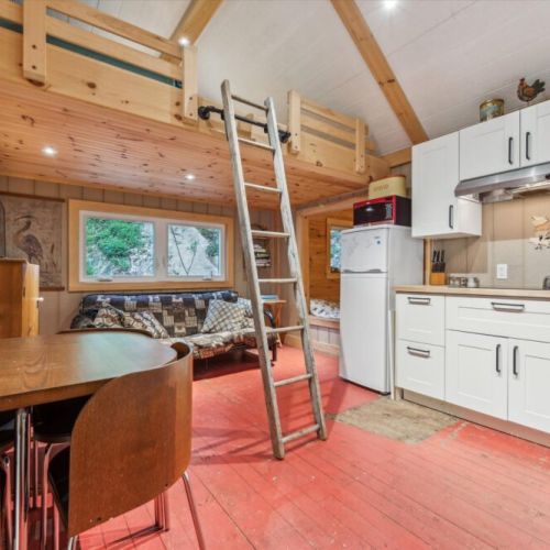 The open-concept layout brings together the kitchen, dining, and living areas under vaulted ceilings — with a loft ladder leading to treetop views and a cozy hideaway up top.