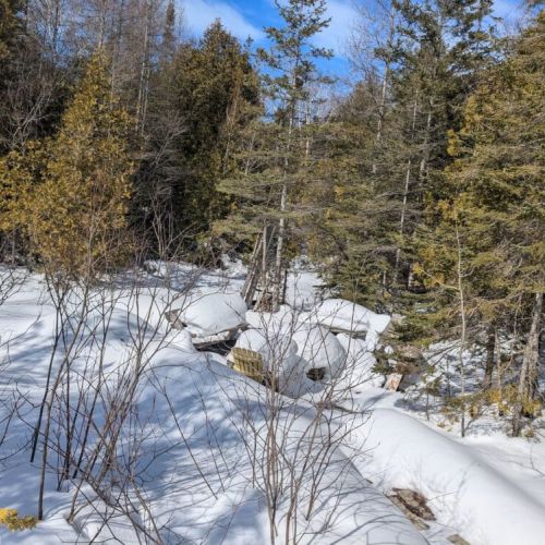 Wander through a snow-draped forest just steps from the cottage. Crisp air, quiet trails, and nature’s calm all around.