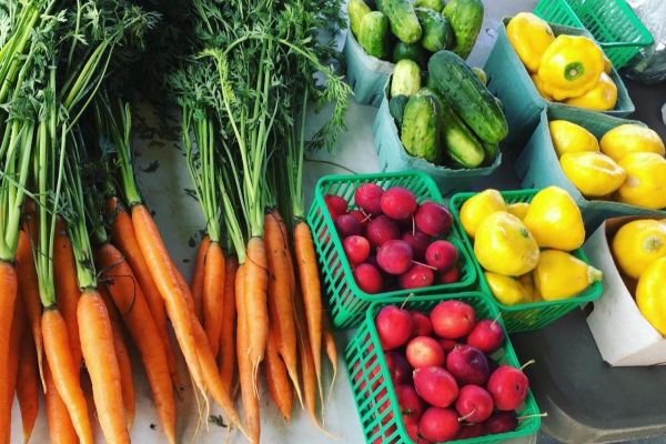 Wiarton Farmers Market