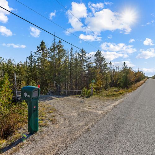Easy year-round access from a quiet, paved country road makes arriving at your Bruce Peninsula retreat a breeze.