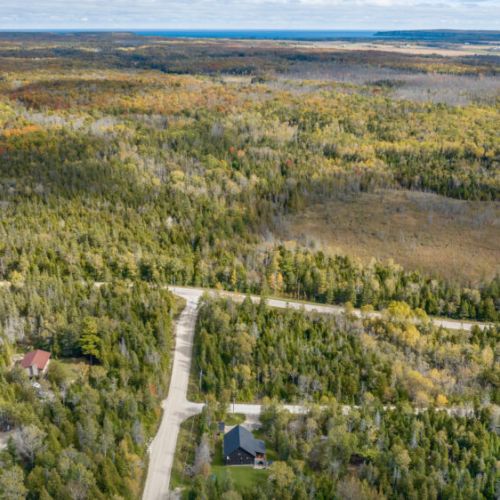 Experience the beauty of nature with dense woods and expansive landscapes as far as the eye can see.
