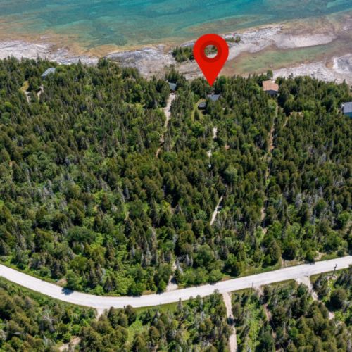 Your cottage retreat tucked deep in the trees, with the shoreline only moments from your door.