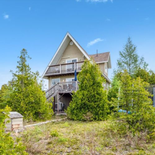 A backyard trampoline and shaded trees offer fun and relaxation for the whole family in a secluded forest setting.