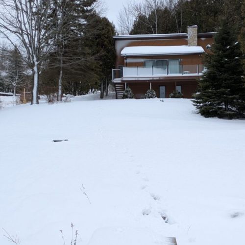Fresh powder blankets the yard, with a quiet path leading up to the cottage.